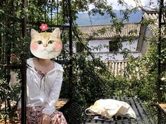 -喵屿·大理花园猫咖