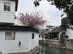 -吕奎小吃老兵臭豆腐