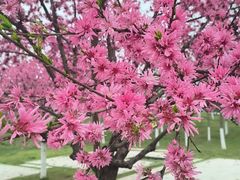 -汉长安城未央宫国家考古遗址公园