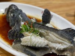 清蒸石斑鱼-金家港海鲜大排档(中山路店)