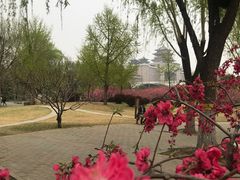 -莲花池公园
