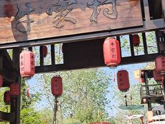 -合肥滨湖国家森林公园