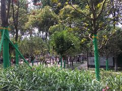 -莲湖公园