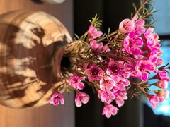 -云海肴·汽锅鸡·云南代表菜(美罗城店)