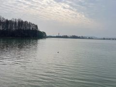 -东湖落雁景区