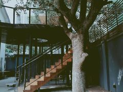 -Willing·Coffee&Brunch&Dinner(万达店)