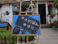 iphone_upload_pic-海边的猫和咖啡馆