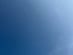 -大屏嶂森林公园