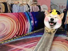 -巴黎春天(浦建店)