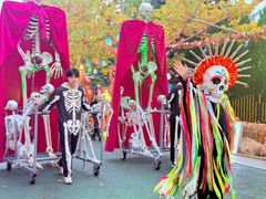 -青岛方特梦幻王国