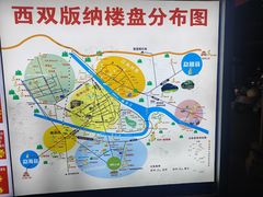 -西双版纳原始森林公园