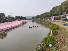 -苏州太湖西山岛开心农场