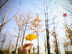 -渭河城市绿地运动公园