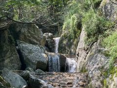 -牛背梁国家森林公园