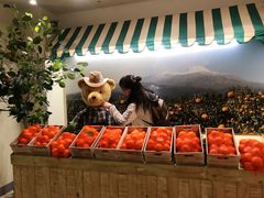 -济州岛泰迪熊博物馆