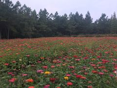 -艾溪湖湿地公园