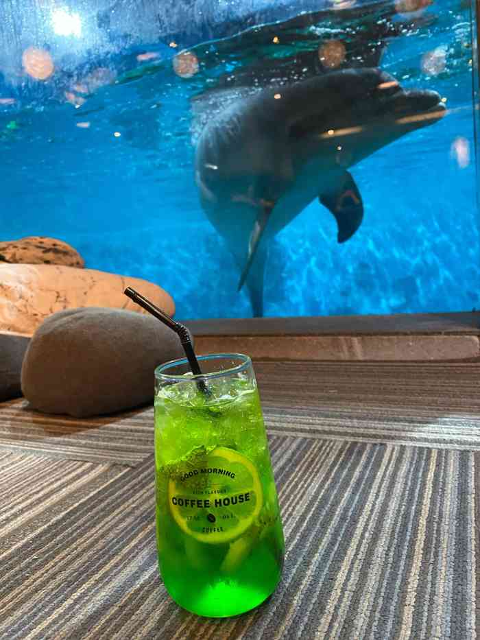 鲸咖啡beluga cafe-"[服务]喜欢鲸95咖啡环境,可以去看看大.