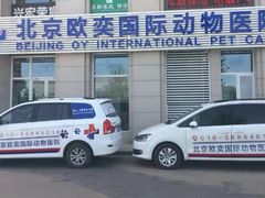 -欧奕国际动物医院