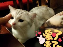 -咖法森林·咖啡  酒吧(天河店)