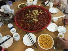 -东吴霸王兔(松青路店)