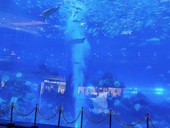 -成都浩海立方海洋公园