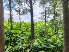 -云龙湖旅游景区