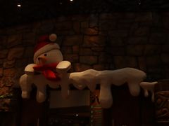 -杭州开元森泊度假乐园