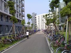 -上海海事大学(临港校区)