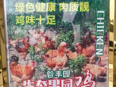 -谷丰健康凤贤居酒家