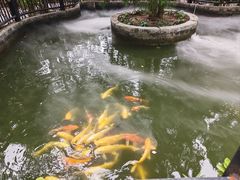 -太阳宫公园