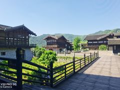 -大唐贡茶院
