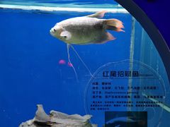 -南昌动物园
