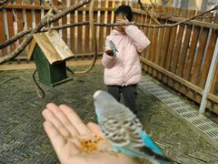 -太阳岛度假酒店