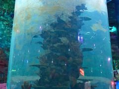 -青岛嘉年华主题乐园