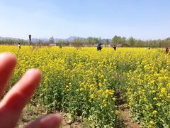 -君乐宝优致牧场