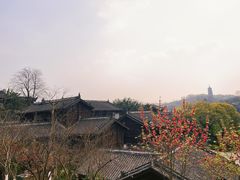 -重庆园博园