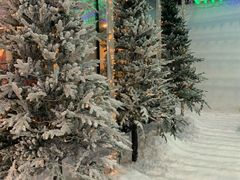 -世界之窗阿尔卑斯冰雪世界