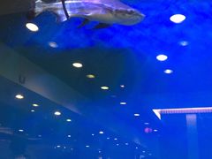 -午月海鲜烧烤酒店(不老街店)