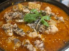 -付掌柜在成都·热炒砂锅集(金禾店)