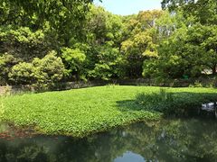 -普陀山风景名胜区-法雨禅寺