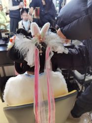 -扶摇阁旗袍|汉服造型工作室