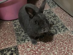-虹梅食堂·爱蝦乃家