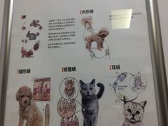 -仁华宠物医院(青羊店)