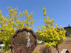 -大连北马山庄