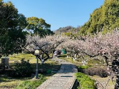 -白马涧龙池景区