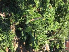 -金鸡岭桥头公园