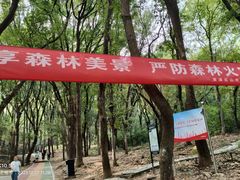 -惠山国家森林公园