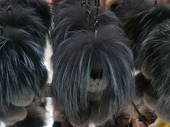 -大营西亚皮草新城