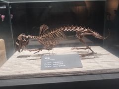 -大庆市博物馆
