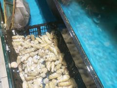 -聚鑫阁江浙菜·非遗传承技艺(青村帝华园店)